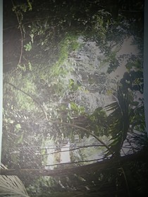 染靈和棲韻川的愛情故事
