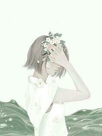 花开半夏，晨光锦言