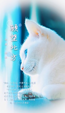 顾望北方