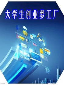 年轻者的成功宝典