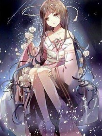 小猫妃