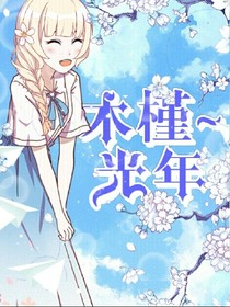 木槿光年