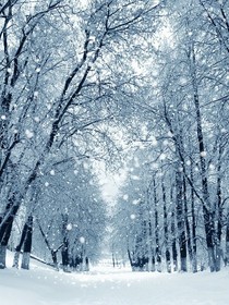 微微一笑很倾城之封墨绫——d134