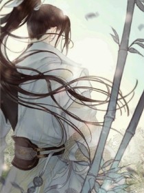 神探小王爷