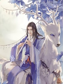 穿越之本王的妻本王寵