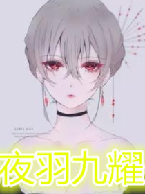 夜羽九耀-正文