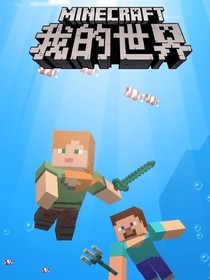 被盜的MC