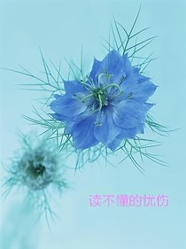 讀不懂的憂傷