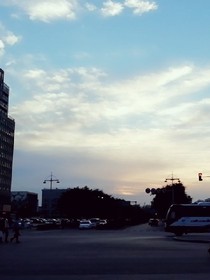 守住樱花的美好