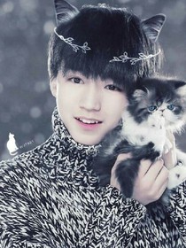TFboys之喵咪de三保姆