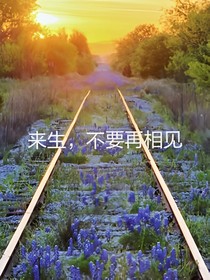 來生，不要再相見_d538