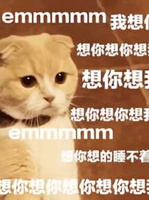 EXO之我認錯絕對不是因為慫