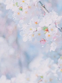 同学我们要不要试一试