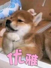 不知道取什么要好