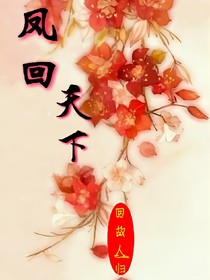 凤回天下