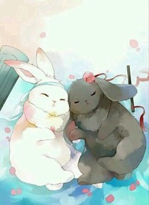 已棄文，不會更
