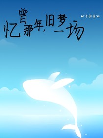曾憶那年，舊夢(mèng)一場(chǎng)