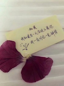 傾城王妃，十分喜歡