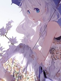 夢狐貍傳