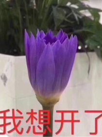 还钱就完事儿了