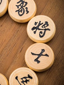 远去的司令