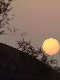 狼戀