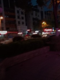 今年我十五岁