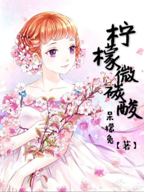 柠檬微碳酸