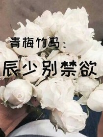 青梅竹馬：辰少別禁欲