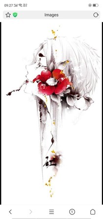 繁花雨打伤