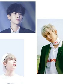 exo.他