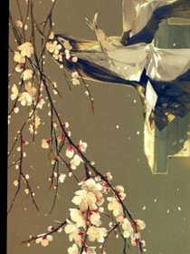 那年初夏與你相見