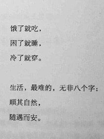 先生的喵