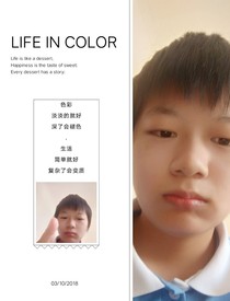 鏡雙世人之四鳥神鳳雀祝福傳