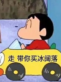 宠妻无度：龙少有个小媳妇
