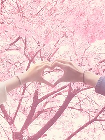 霸气少爷love小拽丫头