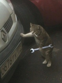 澍沐