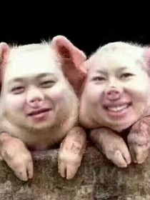 我的好朋友！