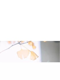 那一世再不愿相见