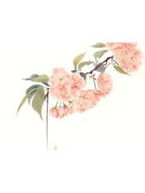 雨濼