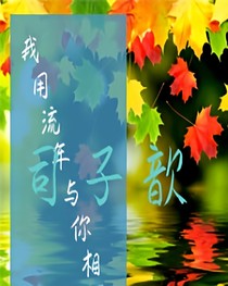 我用流年与你相守