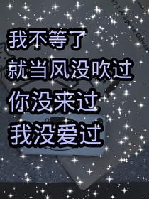 我不等了，就当风没吹过，你没来过，我没爱过
