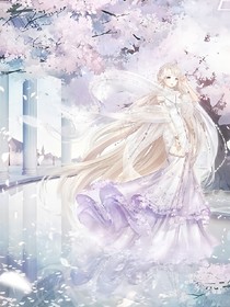 櫻花樹下的期待