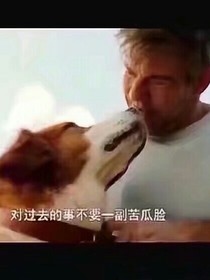 阿南日记