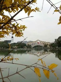 他（想念）