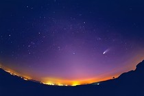 从头