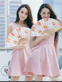 二位公主与二位太子的故事