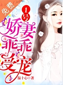 1号娇妻：乖乖受宠