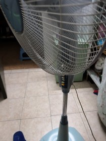 帝少寵上天