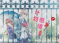 计划感情